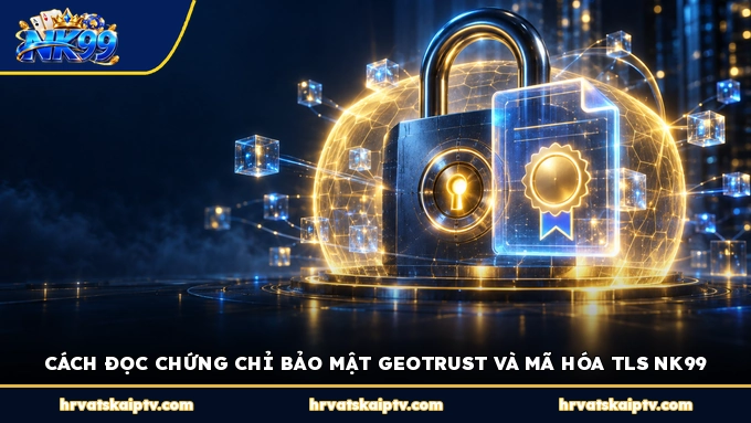 CÁCH ĐỌC CHỨNG CHỈ BẢO MẬT GEOTRUST VÀ MÃ HÓA TLS NK99